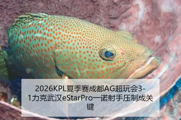 2026KPL夏季赛成都AG超玩会3-1力克武汉eStarPro一诺射手压制成关键